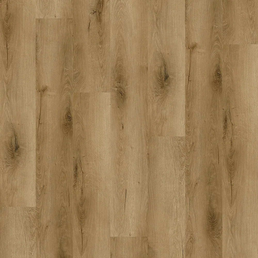 Dutch Oak – prkno – fotografie 1