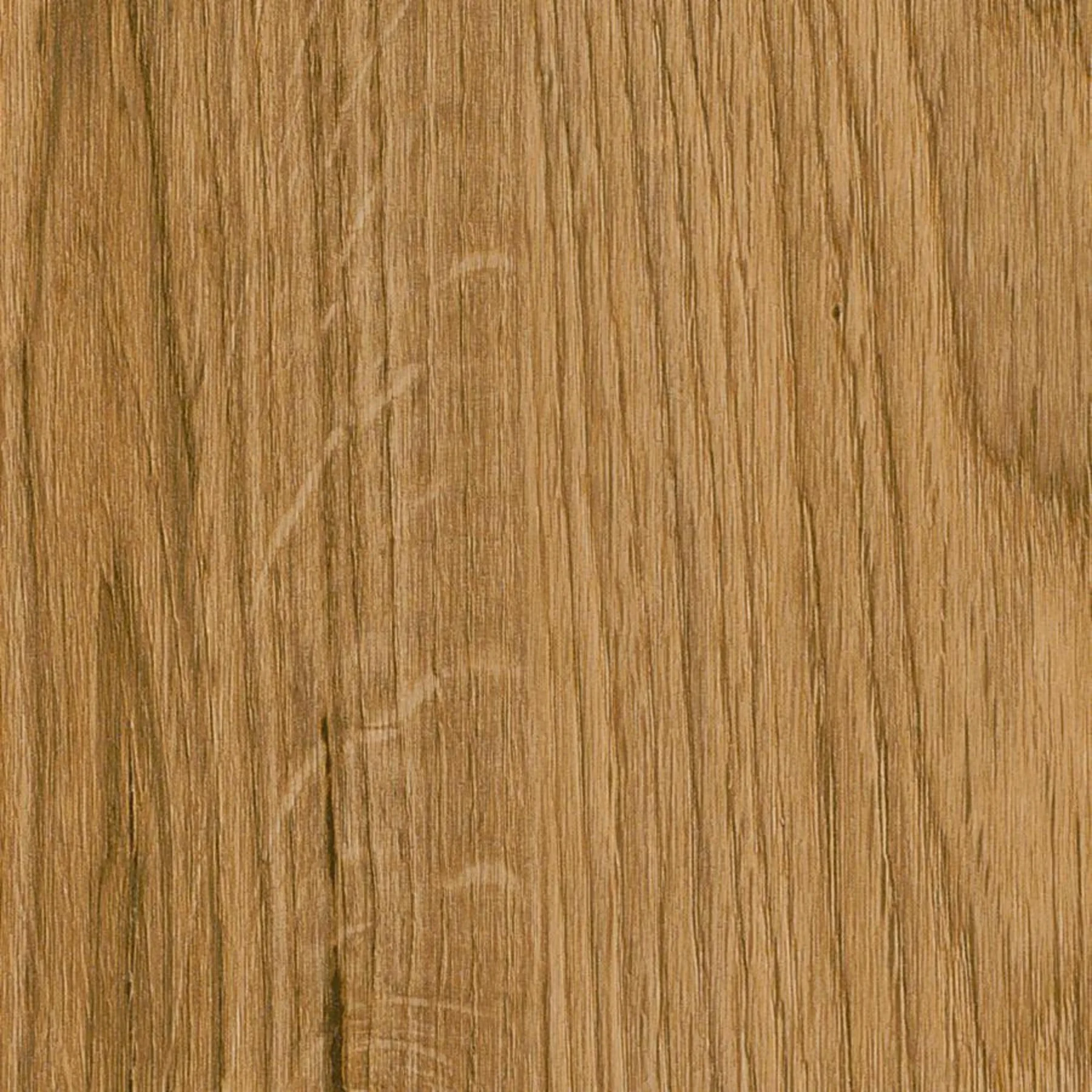 English Oak – prkno – fotografie 1