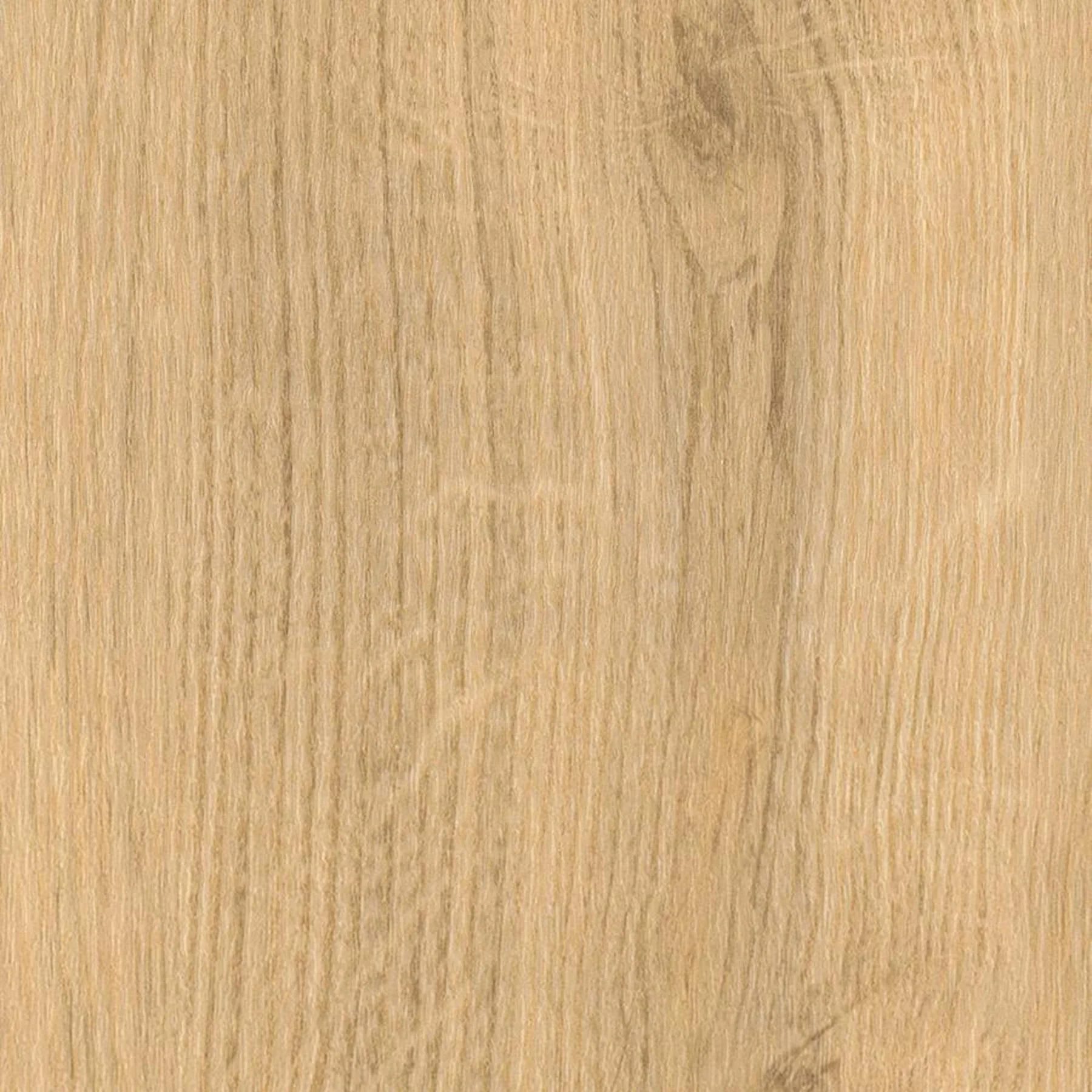 Meadow Oak – prkno – fotografie 1