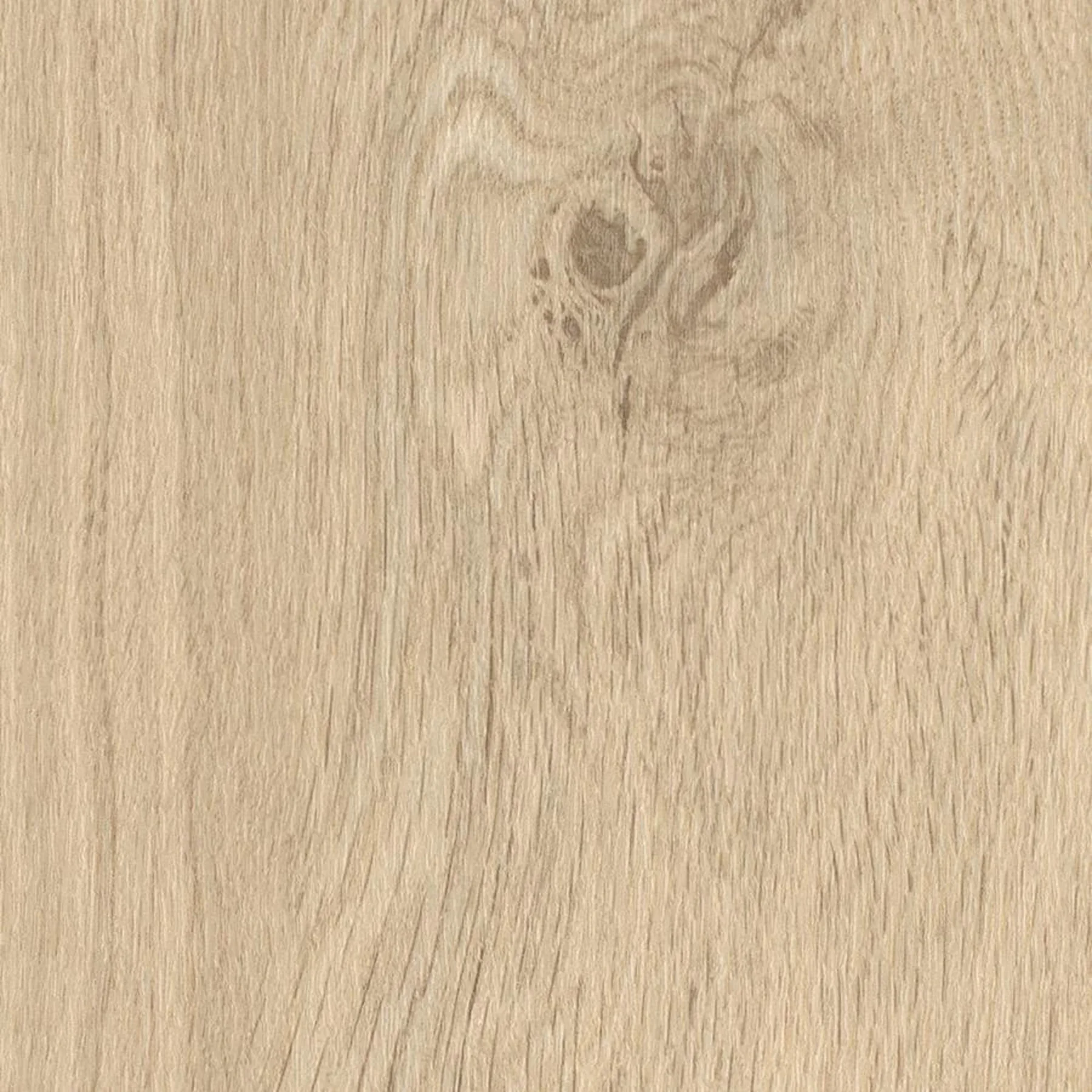 Springtide Oak – prkno – fotografie 1