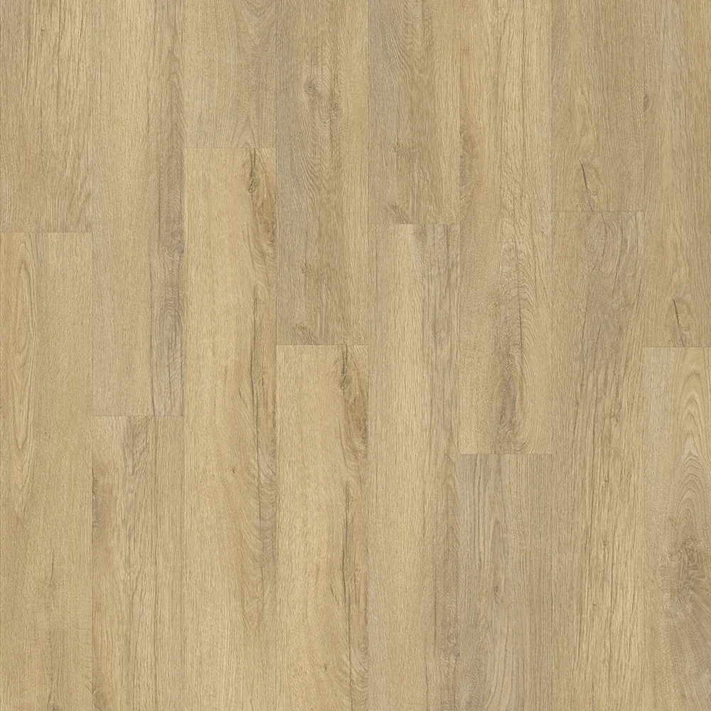 Stellata 89805 – prkno – fotografie 1