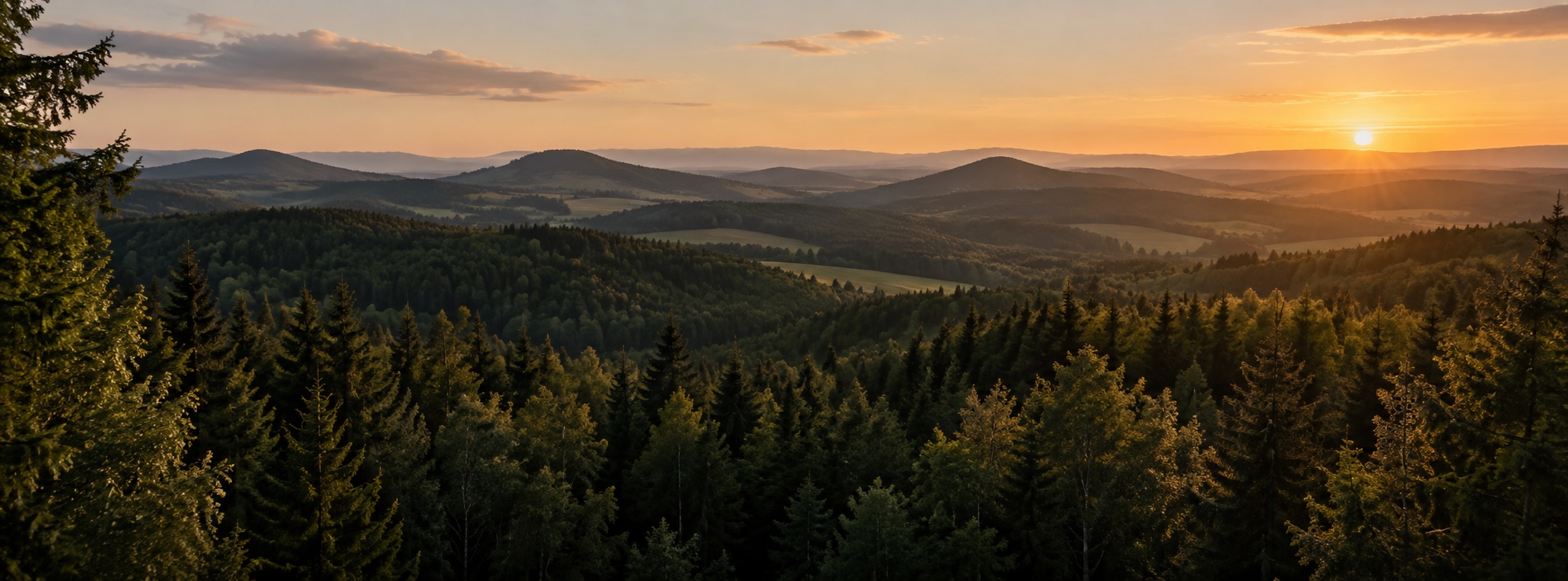 Lesnatá česká krajina v teplém večerním světle